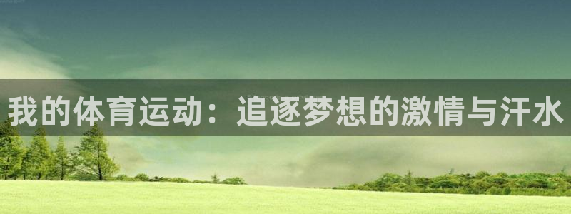 我的体育运动：追逐梦想的激情与汗水