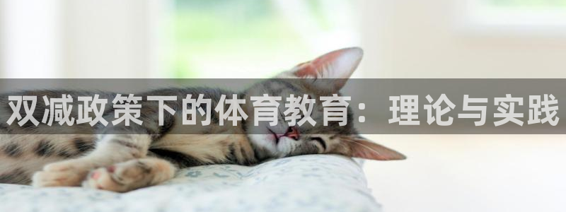 双减政策下的体育教育：理论与实践