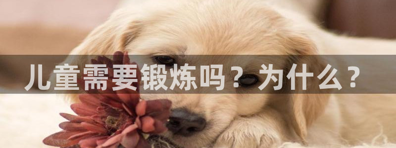 儿童需要锻炼吗？为什么？