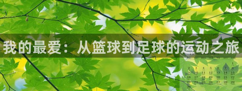 我的最爱：从篮球到足球的运动之旅