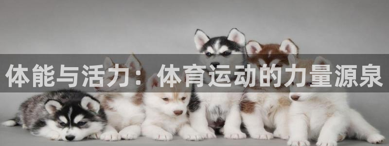 体能与活力：体育运动的力量源泉