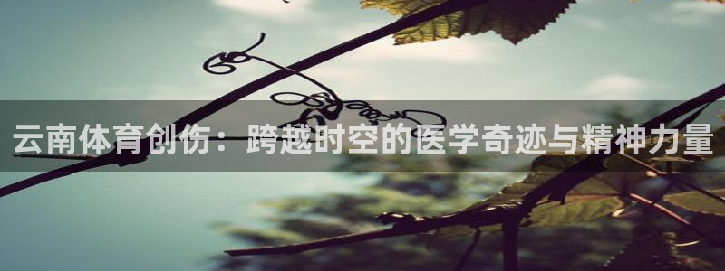 云南体育创伤：跨越时空的医学奇迹与精神力量