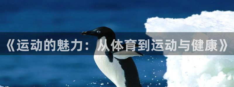 《运动的魅力：从体育到运动与健康》
